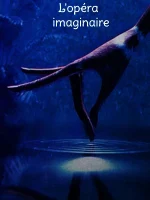 opera-imaginaire_streaming_fr_wikicine_cinepedia